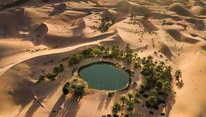 Tour Gallery Image 9